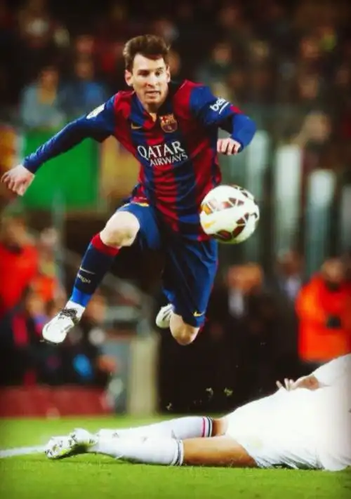 适应与成长 适应与成长