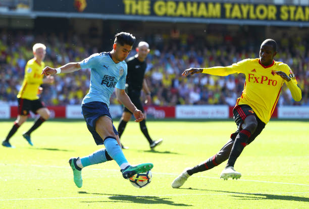 仅具备了极 仅具备了极